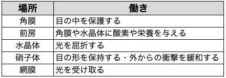 目がかすむ(霞む)とはどのような症状か