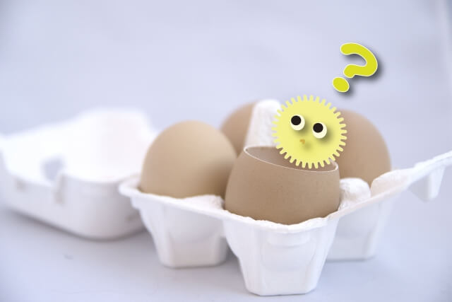 卵は1日何個？