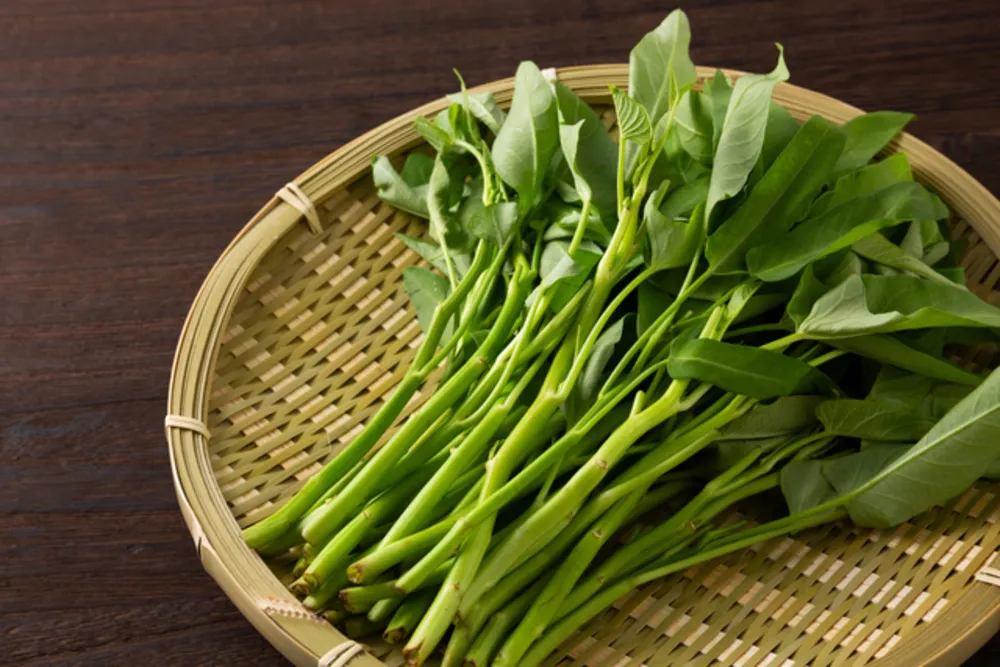 空芯菜の栄養素がすごい！ほうれん草との比較やオススメの食べ方を紹介