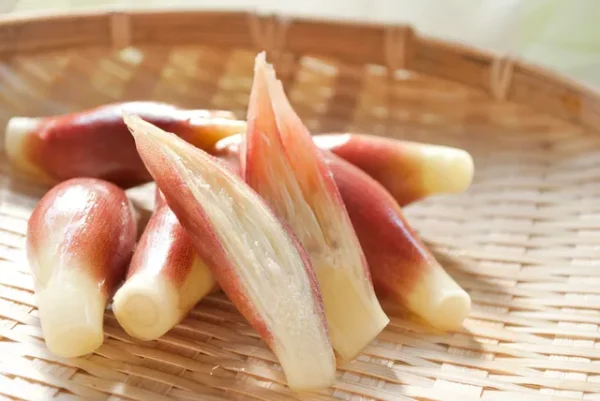 みょうがの栄養は体にいい？～物忘れやダイエット効果についても解説～
