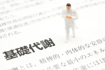 基礎代謝を維持できる