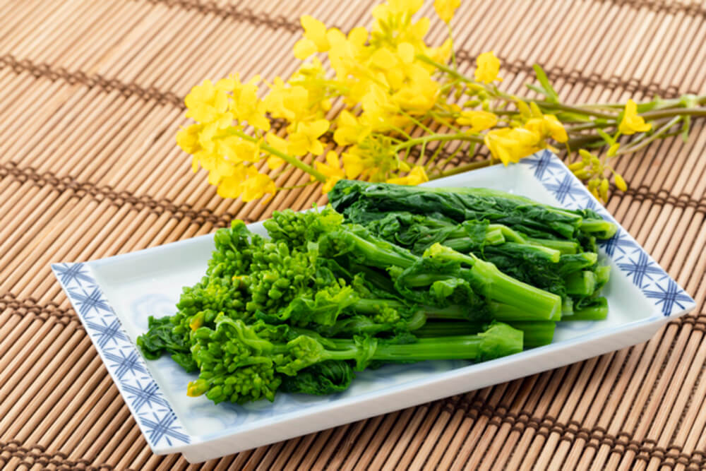 菜の花の栄養と効果はすごい？～食べ過ぎの注意点やレシピも紹介～