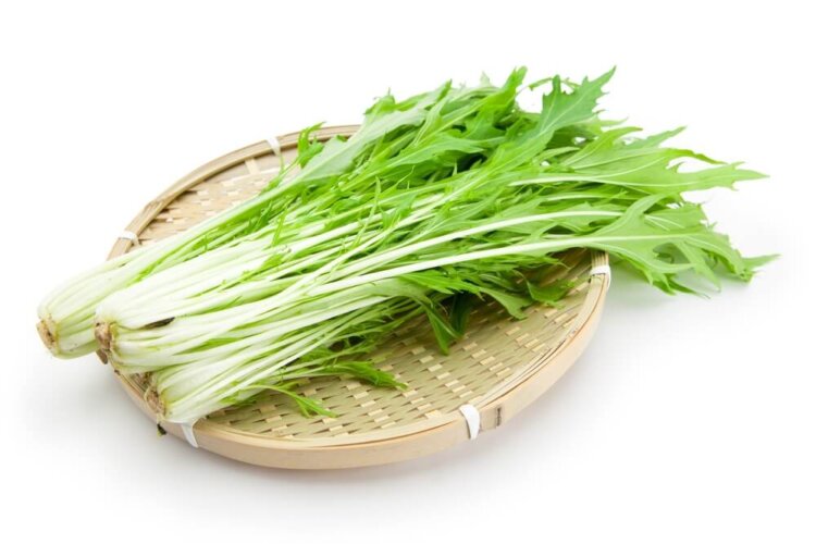 実はすごい!水菜の栄養と効能〜オススメの食べ方や簡単レシピを紹介〜
